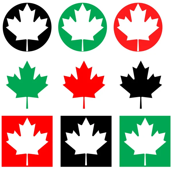 Maple leaf collectie — Stockfoto