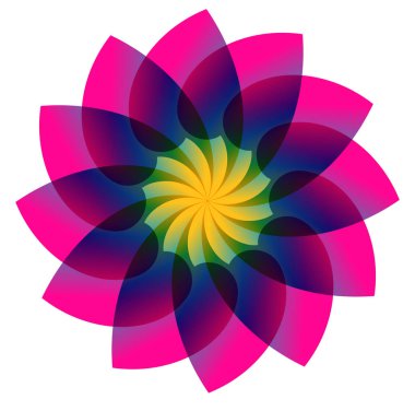 renkli çiçek tasarım