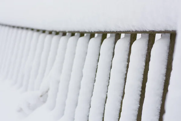 树枝, 雪中的树木 — 图库照片