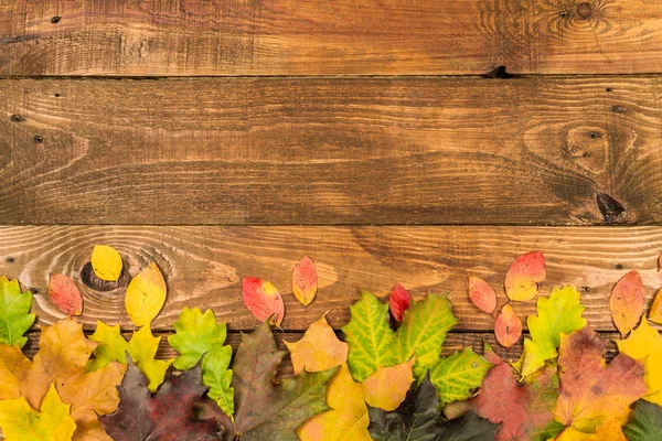 Blätter auf einem hölzernen Hintergrund — Stockfoto