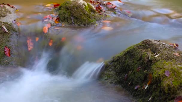 Wasserfall aus reinem Süßwasser im Herbstwald — Stockvideo