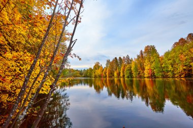 Sonbahar, sarı ağaçlar, su