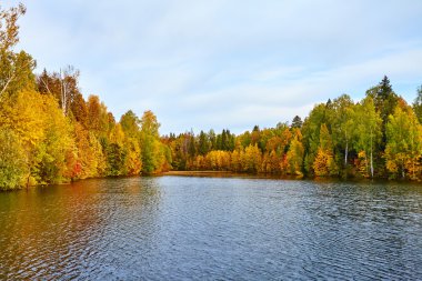 Sonbahar, sarı ağaçlar, su