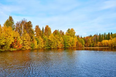 Sonbahar, sarı ağaçlar, su