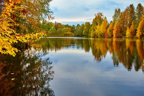 Autunno, alberi gialli, acqua — Foto Stock