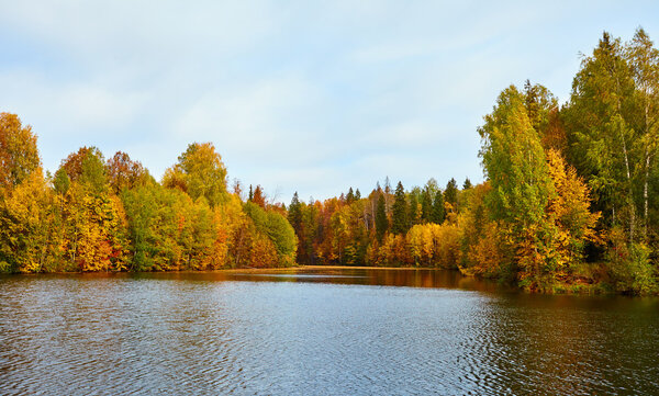 Осень, желтые деревья, вода