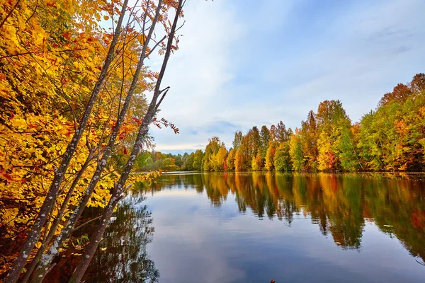 Autumn, yellow trees, water Royalty Free Stock Images