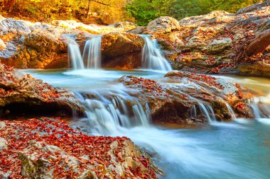 Gün batımında ormandaki güzel şelale. Sonbahar manzara, düşen yapraklar, su akışı 