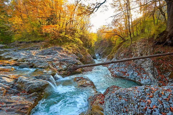 Gün batımında ormandaki güzel şelale. Sonbahar manzara, düşen yapraklar, su akışı 
