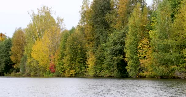 Otoño. Reflexión de los árboles en el agua — Vídeos de Stock