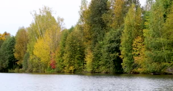 Outono. Reflexão de árvores na água — Vídeo de Stock