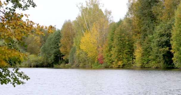 Herfst. Weerspiegeling van bomen in het water — Stockvideo