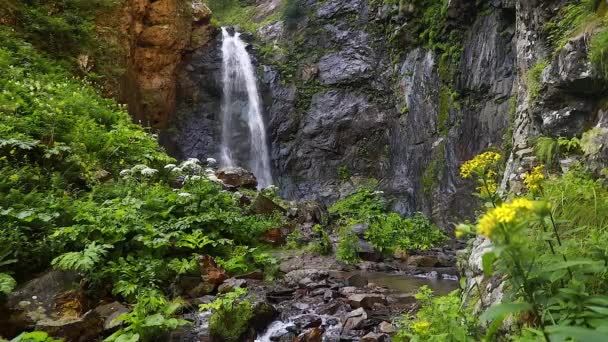 Waterfall Caucasus Georgia, slow-motion — Stock Video
