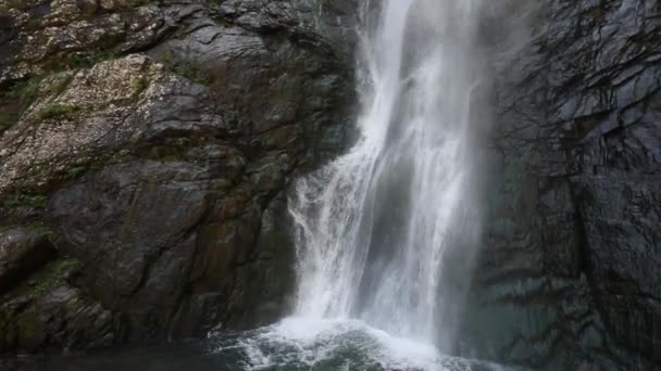 Wasserfall Kaukasus Georgien, Zeitlupe — Stockvideo