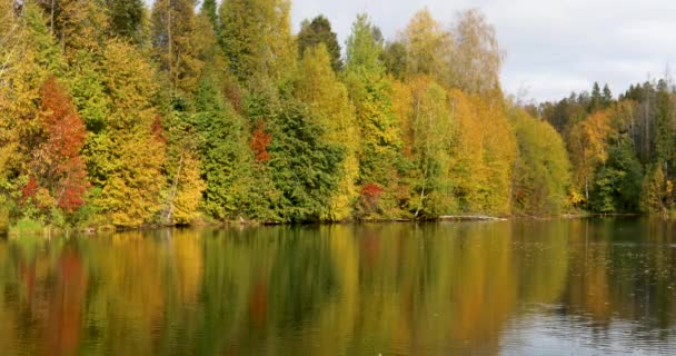 Otoño. Bosque de otoño brillante cerca del estanque — Vídeo de stock