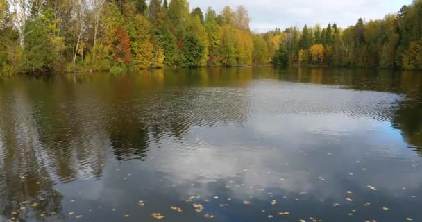 Осінь. Яскравий осінній ліс біля ставка — стокове відео