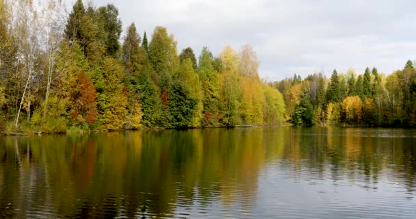 Herbst. heller Herbstwald am Teich — Stockvideo