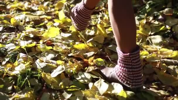 Una chica con botas caminando por un soleado camino otoñal, cubierta de hojas caídas — Vídeos de Stock