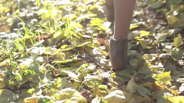 Дівчина в чоботях, що йдуть сонячно осінньою дорогою, вкрита опалим листям — стокове відео