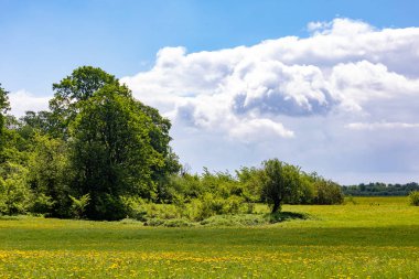Güneşli bir günde güzel bir yaz manzarası