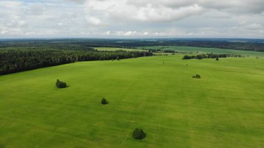 Yeşil çayırlardan ve tarlalardan geçen kırsal yol. Güneşli yaz günü