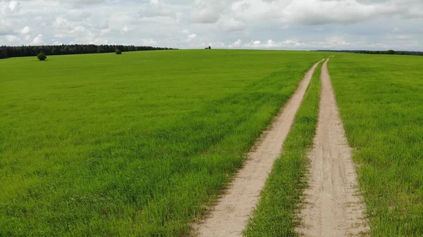 Rural road that goes through green meadows and fields. Sunny summer day