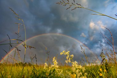 Gökkuşağı mavi bir gökyüzünde Güzel bir yaz gününde