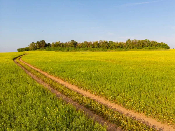 牧草地や道路と美しい夏の風景 — ストック写真