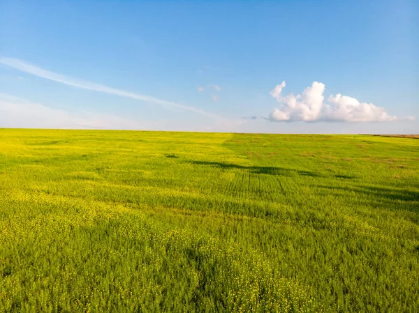 牧草地や道路と美しい夏の風景 — ストック写真