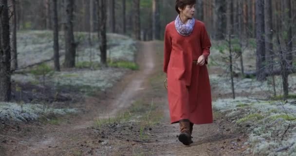 Una Ragazza Con Cesto Cammina Nel Bosco Raccoglie Bacche — Video Stock