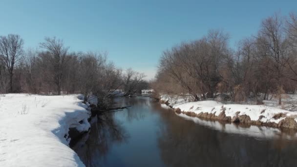 春には川の四分儀からの眺め 白雪と裸の木の間を流れる川 — ストック動画