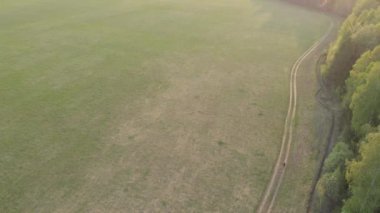 Kırsal bir yolda bisiklet süren genç bir kız. Quadcopter saldırısı. Yukarıdan görüntüle