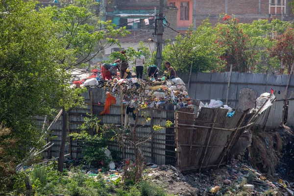 尼泊尔 加德满都 在城市街道上整理垃圾 环境灾难 — 图库照片