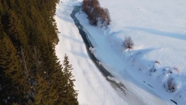 Top Kilátás Nyílik Havas Mezők Erdő Négyes Helikopter Forgatás Naplementekor — Stock videók