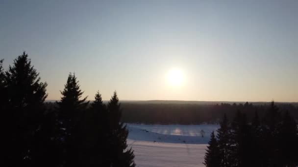 Ovanifrån Snötäckta Fält Och Skog Kvadrokopterskjutning Vid Solnedgången — Stockvideo