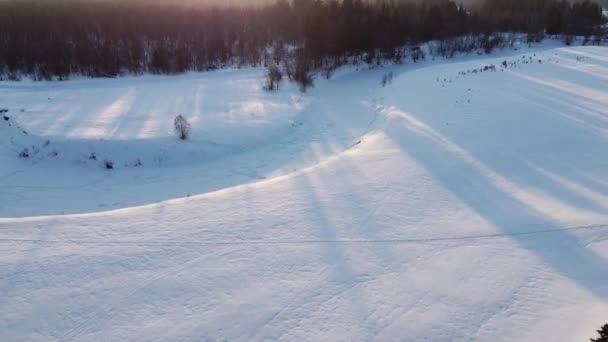 Ovanifrån Snötäckta Fält Och Skog Kvadrokopterskjutning Vid Solnedgången — Stockvideo