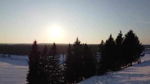 Karlı Tarlaların Ormanın Üst Manzarası Gün Batımında Kuadrokopter Atışı — Stok video