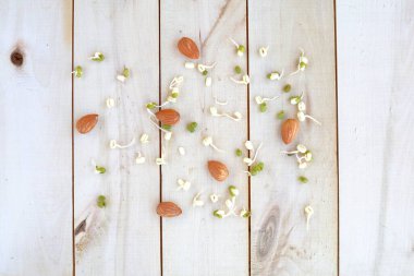 Sağlıklı beslenme, fındık ve filizlenmiş fasulye filizleri ahşap bir eko arka planda serili.