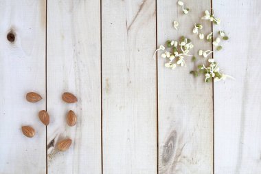 Sağlıklı beslenme, fındık ve filizlenmiş fasulye filizleri ahşap bir eko arka planda serili.