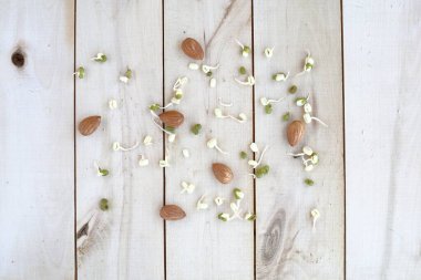 Sağlıklı beslenme, fındık ve filizlenmiş fasulye filizleri ahşap bir eko arka planda serili.