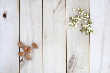 Sağlıklı beslenme, fındık ve filizlenmiş fasulye filizleri ahşap bir eko arka planda serili.