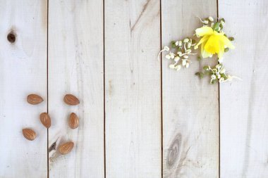 Sağlıklı beslenme, fındık ve filizlenmiş fasulye filizleri ahşap bir eko arka planda serili.