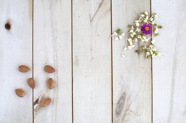 Sağlıklı beslenme, fındık ve filizlenmiş fasulye filizleri ahşap bir eko arka planda serili.