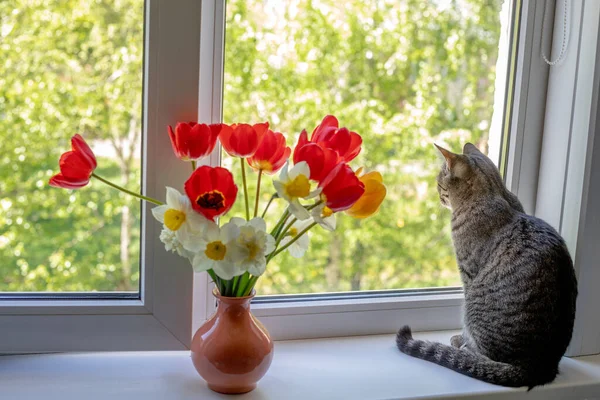 Bir kedi, bir vazodaki parlak kırmızı beyaz ve sarı çiçeklerden birinin üzerinde oturur. Pencerenin dışında ağaçların yeşil yaprakları var. Pencereden güneş ışığı düşüyor.