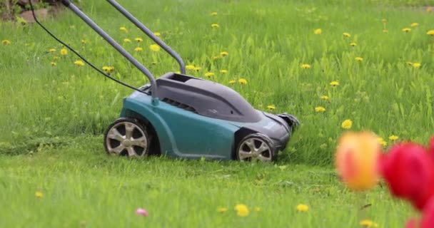 Een Man Maait Gras Een Gazon Met Een Grasmaaier Tegen — Stockvideo