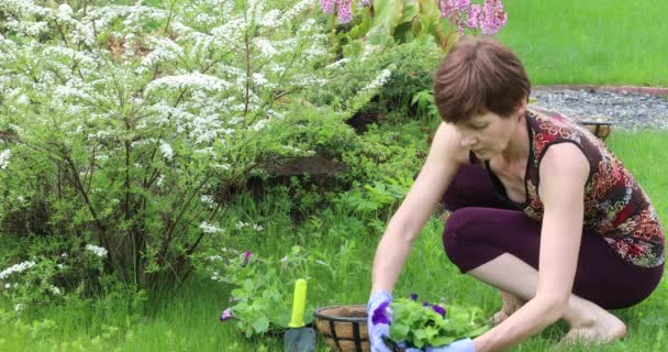 Özel Bir Bahçede Saksıya Çiçek Eken Bir Kadın — Stok video