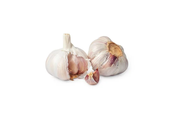 Garlic isolated on white background — Stock Photo, Image