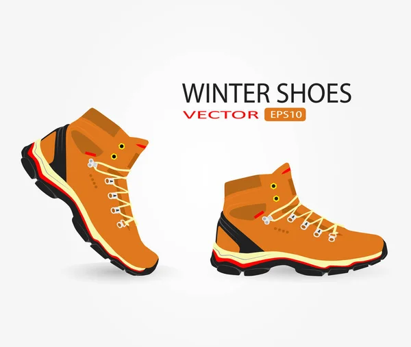 Zapatos de invierno casuales — Archivo Imágenes Vectoriales