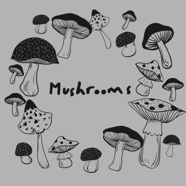 Sağlıklı ve sağlıksız mantar toplama