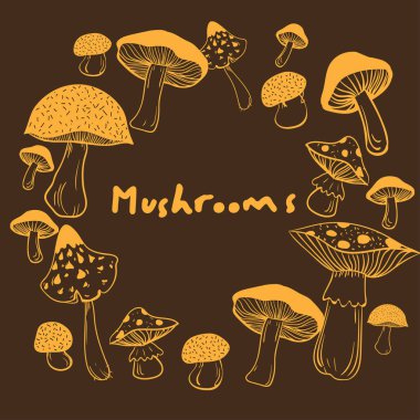 Sağlıklı ve sağlıksız mantar toplama